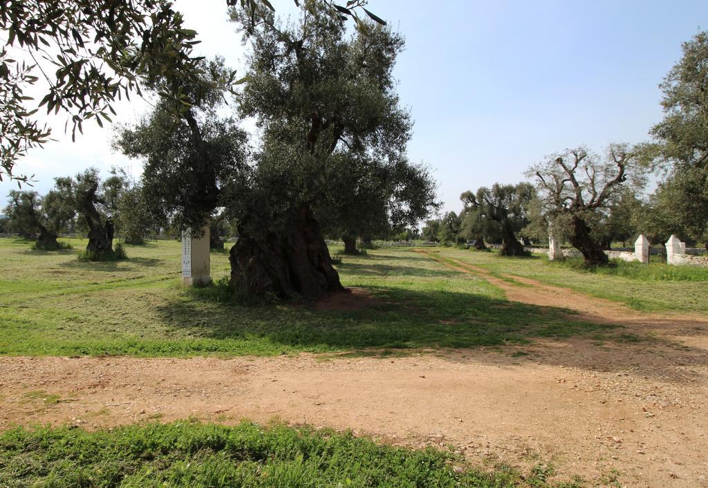Masseria Brancati Hotel Ostuni Zewnętrze zdjęcie